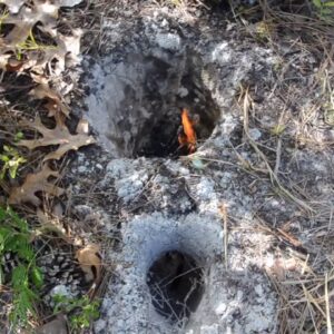 Concealed Wilderness Fire: The Dakota Fire Pit