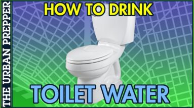 How To Drink TOILET WATER In An Emergency #Shorts