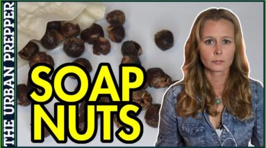 How to Use SOAP NUTS as Laundry Detergent
