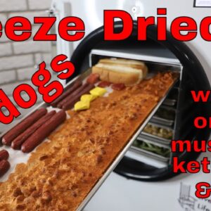 FREEZE DRYING an ENTIRE ðŸŒ­ HOT DOG ðŸŒ­ -- Harvestright Freeze Dryer