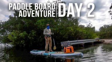 Paddle Board Adventure | Day 2 | ON Three