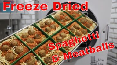 Freeze Dried Spaghetti & Meatballs -- Perfect Portions Using the Tray Dividers