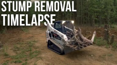 Stump Removal Timelapse | Forest to Farm