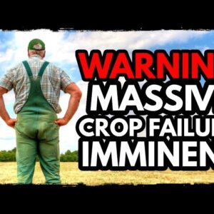 TERRIFYING: Massive Crop Failures Signal Global Collapse PREPARE NOW