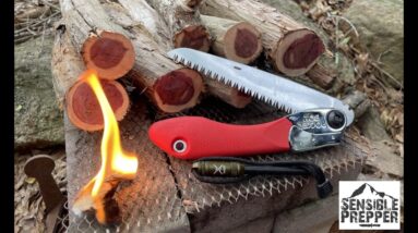 The Best Folding Saw for Survival! Silky PocketBoy