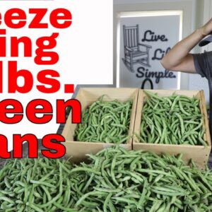 50 lbs. of FREEZE DRIED GREEN BEANS-- Garden Grown