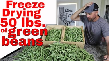 50 lbs. of FREEZE DRIED GREEN BEANS-- Garden Grown
