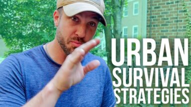 Survival Strategies in an Urban Environment | ON Three