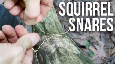 Building Squirrel Snares | ON Three