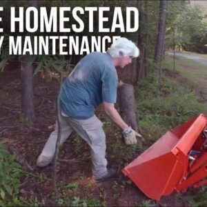 Cleaning Up a Neglected Property | Forest to Farm