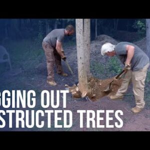 Digging Out Obstructed Trees | Forest to Farm