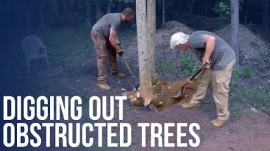 Digging Out Obstructed Trees | Forest to Farm