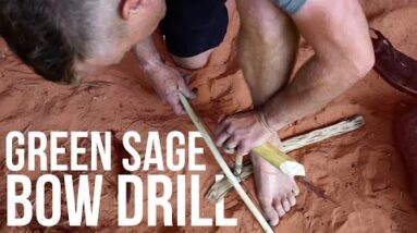 The Bow Drill: An Epic Saga with Green Sage After the Rain | TJack Survival