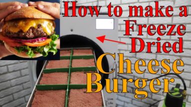 How to Make a FREEZE DRIED CHEESEBURGER-- w/ Raw Ground Beef