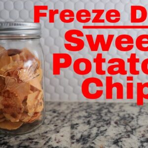 Freeze dried Sweet Potato Chips -- Freeze Dried Yams
