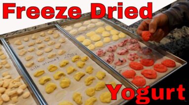 Freeze Dried Yogurt -- Greek Yogurt, Almond Yogurt, Pili Nut Yogurt