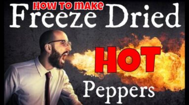 Making Freeze Dried HOT Peppers! -- Carolina Reapers, Jalapenos & Anaheim