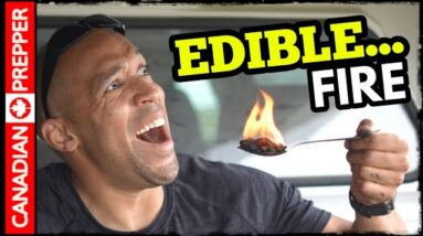 This Firestarter is EDIBLE and Delicious! Duel Fuel Survival Food