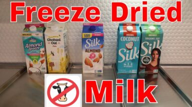 Freeze Dried Almond Milk, Coconut Milk, Oat Milk, Soy Milk