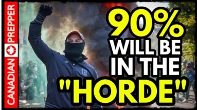 How to Survive "The Golden Horde" Violent Mobs