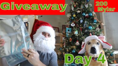 12 Days of Christmas Giveaway 🎄DAY 4🎄 (Mylar Bags!)