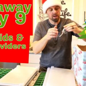 12 Days of Christmas Giveaway ðŸŽ„DAY 9ðŸŽ„ (#traydividers & Tray Lids!)