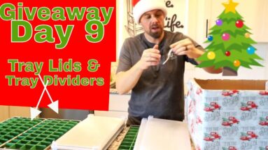 12 Days of Christmas Giveaway 🎄DAY 9🎄 (#traydividers & Tray Lids!)