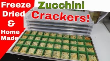 Freeze Dried Zucchini Crackers......Yum!😋 Homemade w/ Recipe