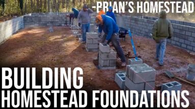 Laying the Foundation for Brian's Future Homestead | Forest to Farm