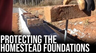 Protecting the Homestead Foundations | Forest to Farm