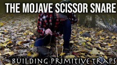 The Mojave Scissor Snare | Building Primitive Traps | TJack Survival