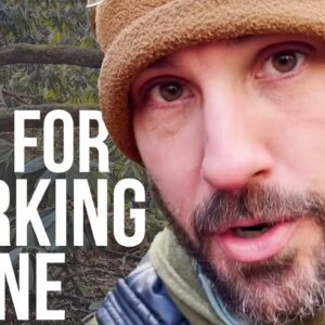 Tips for Clearing Trees and Brush Alone | ON Three