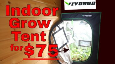 Vivosun Grow Tent Review, Setup and Unboxing (30"x18"x36")