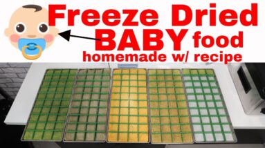 FOOD SHORTAGE! Freeze Dried Baby Food RECIPE