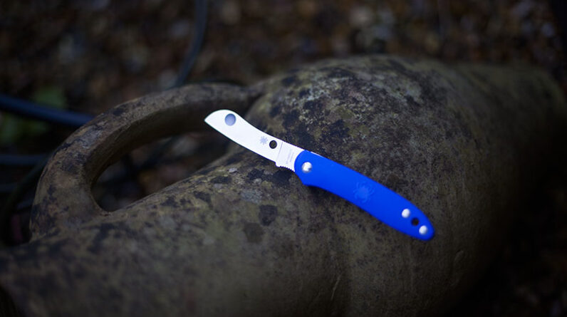 tiny edc small pocket knife slip joint uk legal spyderco roadie