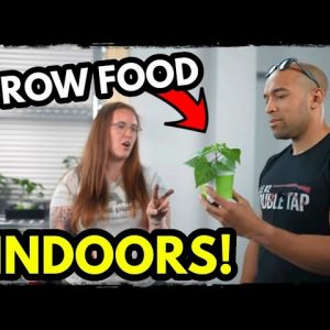 20 Tips for Growing Food Indoors after SHTF!