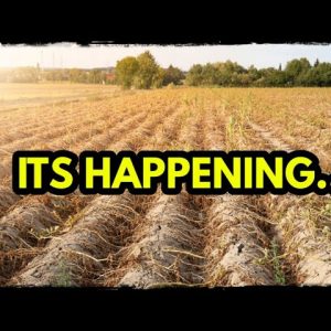 Crops Are Failing Around the World- Do this NOW!