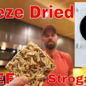 Freeze Dried Beef Stroganoff -- Includes Freeze Drying Recipe