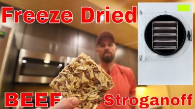Freeze Dried Beef Stroganoff -- Includes Freeze Drying Recipe
