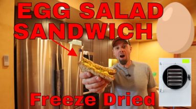 Freeze Dried Egg Salad Sandwich -- With Rehydrated Bread