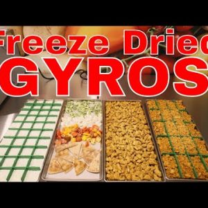 Freeze Dried Gyros -- Chicken, Tofu, Tzatziki, Pita Bread