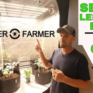 Spider Farmer SE 5000 Grow Light & 4' x 4' Grow Tent -- Review, Setup & Unboxing