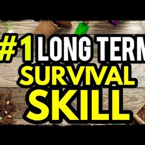 The #1 Survival Skill