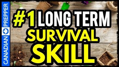 The #1 Survival Skill