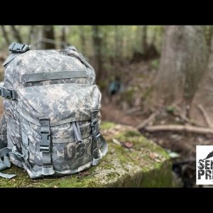 U.S. Army MOLLE II 3 Day Assault Pack Surplus Review