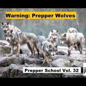 Warning: Prepper Wolves!  Prepper School Vol. 32