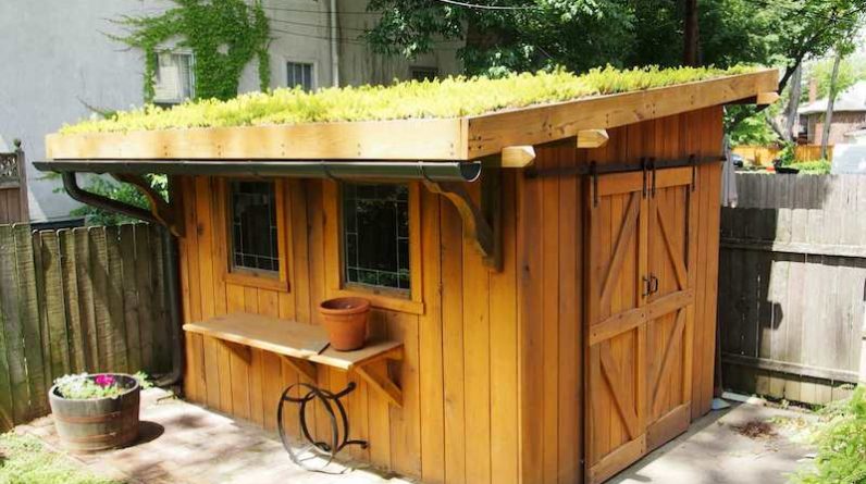 07 green roof