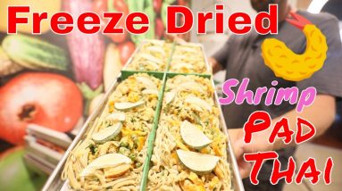 Freeze Dried Shrimp Pad Thai -- Awesome Freeze Dried Backpacking Recipe