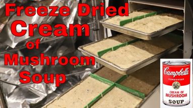 Freeze Dried Cream of Mushroom Soup
