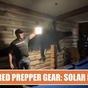 Remarkably bright solar lights, required Prepper gear